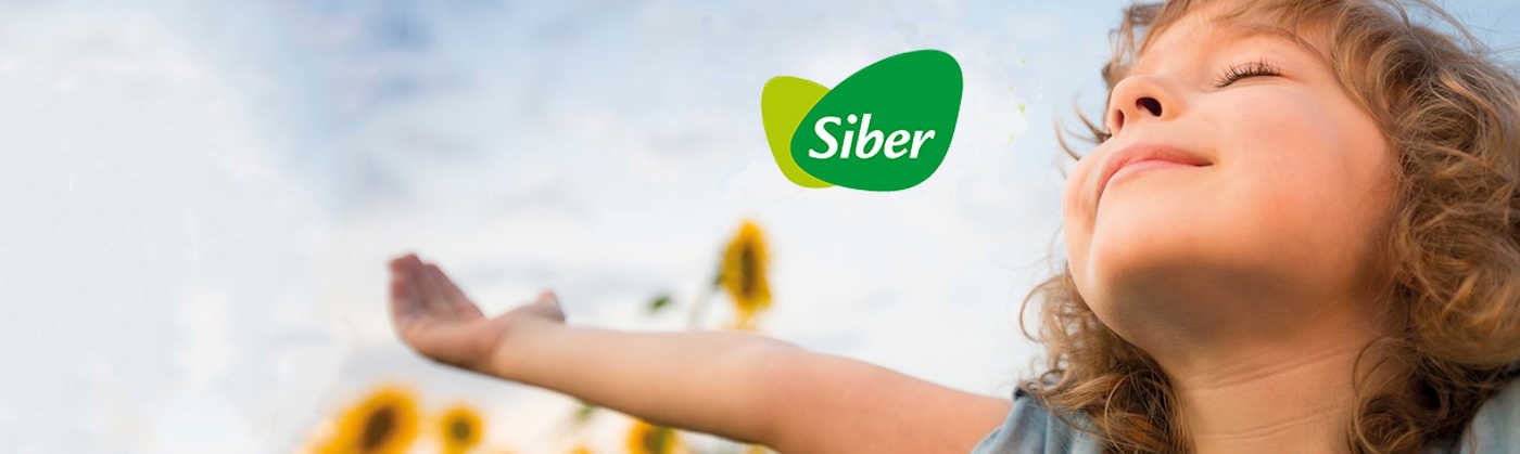 SIBER experts en ventilació eficient