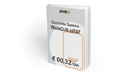 MANTENIMENT I POSADA A PUNT PER A LA CALDERA