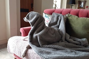 Fes check a la preparació per a l'arribada del fred amb CASA JOVÉ